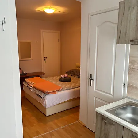 Dunjic Prolom Banja Lejlighed Prolomska Banja