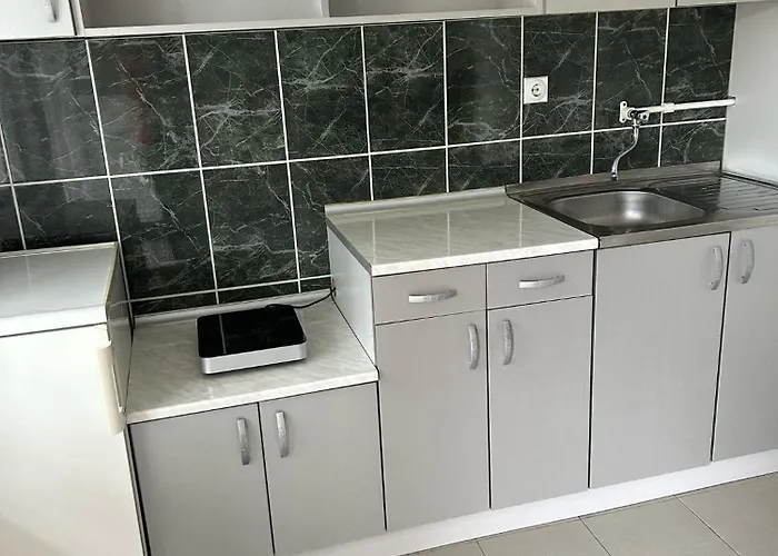 Dunjic Prolom Banja 公寓 *